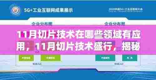 揭秘，11月切片技术在多领域的应用与价值盛行之处