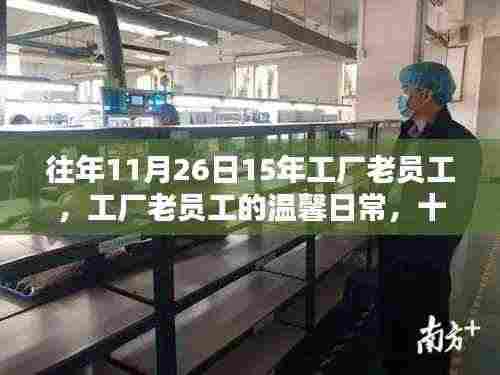 工厂老员工温馨日常，十一月二十六日的特殊记忆与感悟