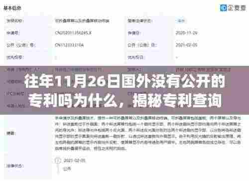 揭秘专利查询过程,如何在特定日期寻找未被公开的国外专利?往年11月26日专利揭秘之旅