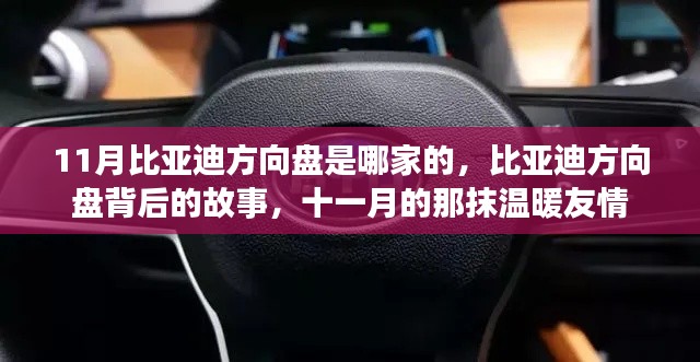 比亚迪方向盘背后的故事,揭秘与友情的温暖十一月记忆