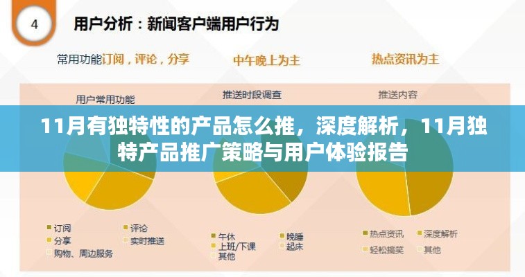 深度解析,11月独特产品推广策略与用户体验报告——打造独特产品,提升用户吸引力与体验度