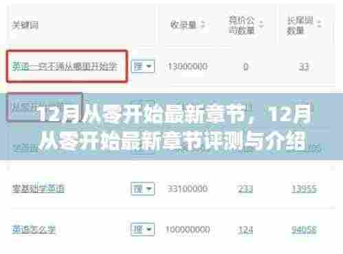 12月从零开始最新章节及评测介绍全解析