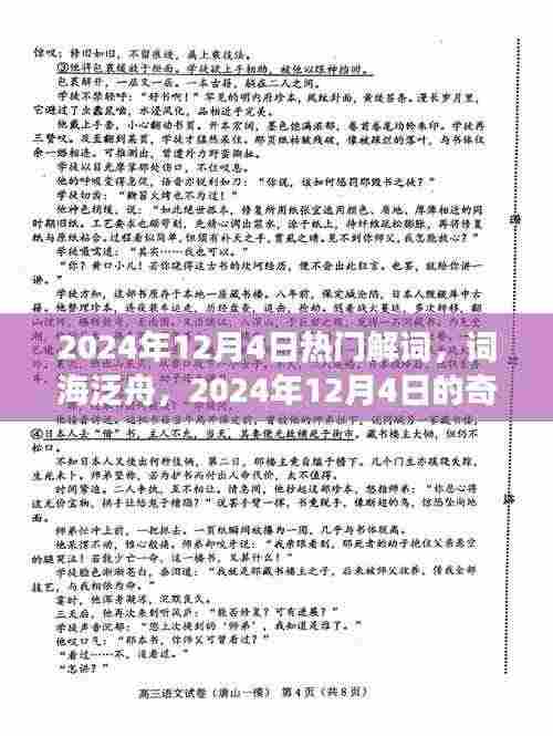 2024年12月4日热门词汇探秘,词海泛舟的奇妙之旅
