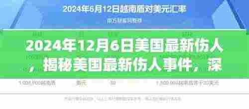 揭秘美国最新伤人事件，深度解读与探讨（发生在2024年12月6日）