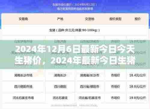 2024年最新今日生猪价格解析,入门指南与查询步骤