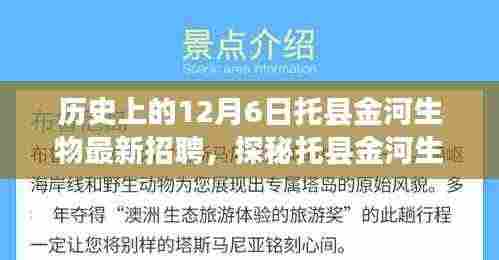 托县金河生物最新招聘揭秘,职场奇遇等你来探秘,12月6日揭晓!