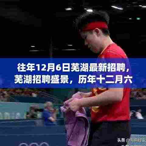 历年十二月六日芜湖招聘盛景深度洞察与影响回顾
