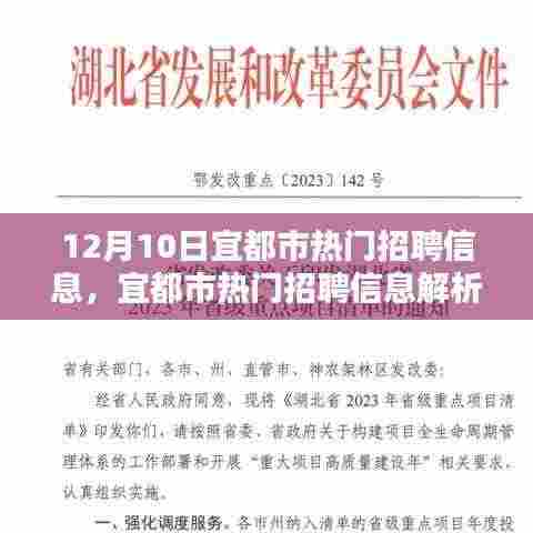 宜都市最新热门招聘信息解析,聚焦最新职业机遇