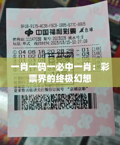一肖一码一必中一肖:彩票界的终极幻想