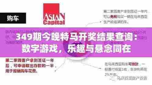349期今晚特马开奖结果查询:数字游戏,乐趣与悬念同在