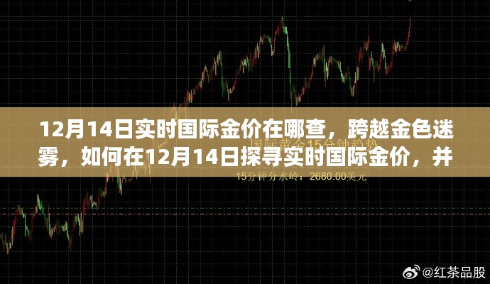 揭秘实时国际金价,探寻黄金价值,激发学习与成长之旅(12月14日版)