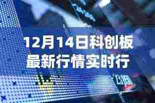 揭秘科创板,最新行情解读与巷弄深处的惊喜