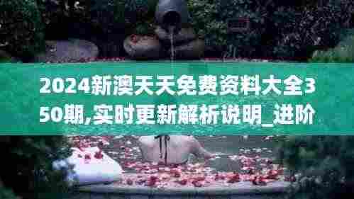 2024新澳天天免费资料大全350期,实时更新解析说明_进阶版17.546