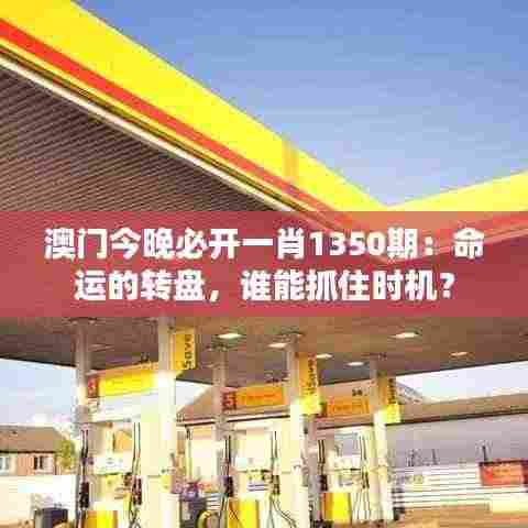 澳门今晚必开一肖1350期：命运的转盘，谁能抓住时机？