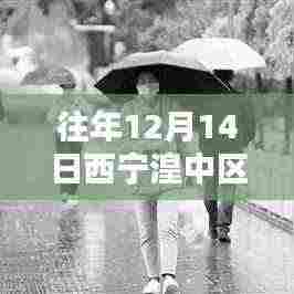 穷鸟入怀 第4页