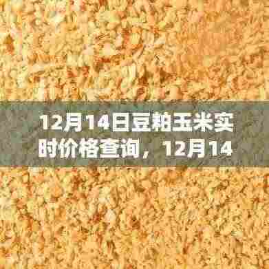 12月14日豆粕玉米价格实时更新,与自然美景共舞,探寻内心宁静之道