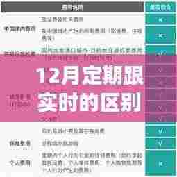 十二月定时与实时之辨,温馨时间之旅的探寻