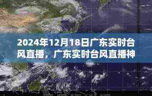 广东台风直播,科技前沿追踪体验