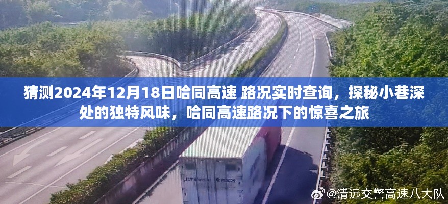 哈同高速路况实时查询,惊喜之旅探寻小巷深处的独特风味
