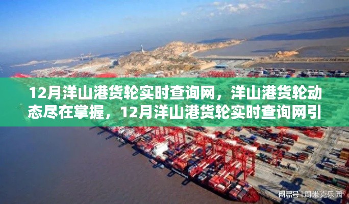 掌握洋山港货轮动态,智能物流新时代的引领者