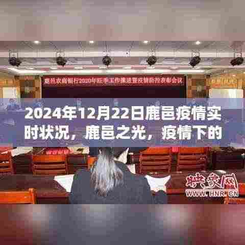 鹿邑之光,疫情下的励志篇章与学习的力量——鹿邑疫情实时状况报告(XXXX年)
