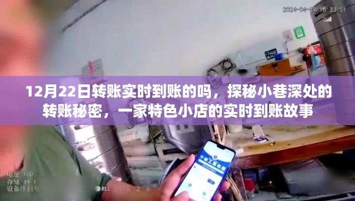 探秘小巷深处的转账秘密,一家特色小店的实时到账经历