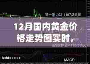 黄金走势揭秘,12月国内黄金价格动态与背后的故事,自信闪耀,成就无限可能