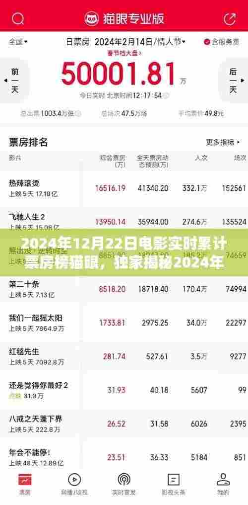 独家揭秘,2024年12月22日电影实时累计票房榜猫眼,数据见证爆款电影的奇迹!