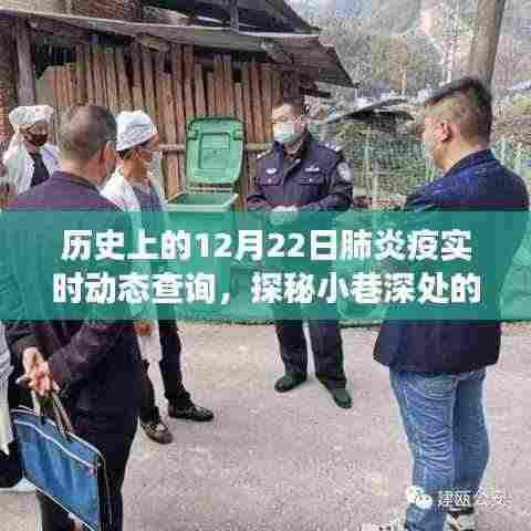 探秘小巷特色小店与历史上的十二月二十二日肺炎疫情实时动态查询之旅