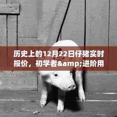 历史上的12月22日仔猪实时报价,初学者与进阶用户查询指南
