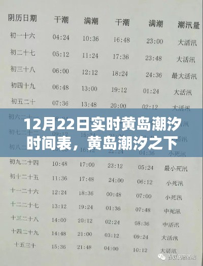 黄岛潮汐时间表揭秘,隐秘宝藏与特色小店的潮汐之旅
