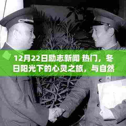 励志新闻回顾,冬日心灵之旅启程,与自然美景的不解之缘,寻找内心的宁静与力量