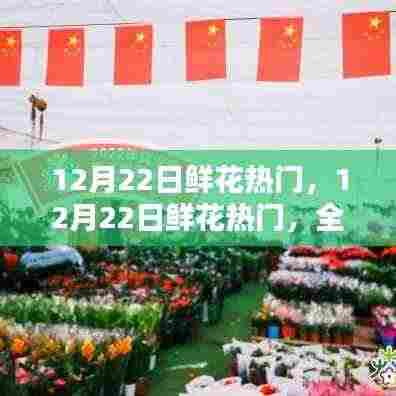 12月22日鲜花热门,全面评测与深度解析