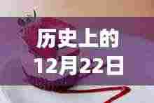 历史上的甜点时光,温馨记忆与甜蜜相伴的温馨时光在12月22日汇聚一堂