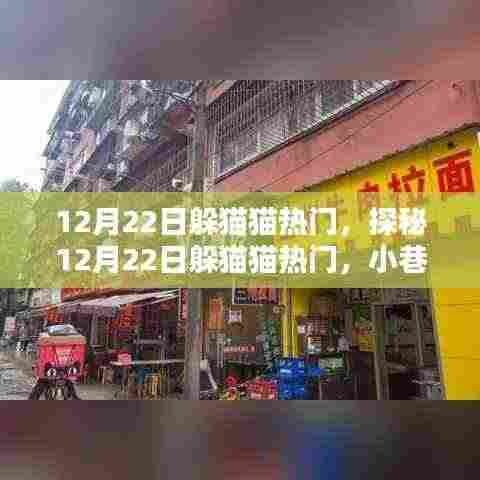 探秘躲猫猫热门日，揭秘小巷深处的特色小店！
