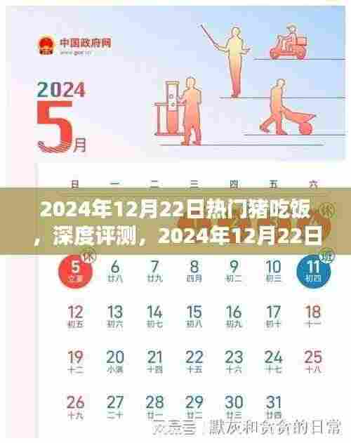 2024年热门猪吃饭产品深度评测与体验报告