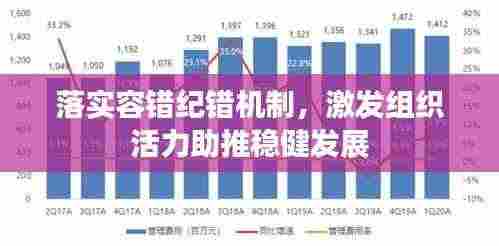 落实容错纪错机制，激发组织活力助推稳健发展