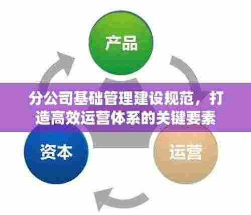 分公司基础管理建设规范,打造高效运营体系的关键要素