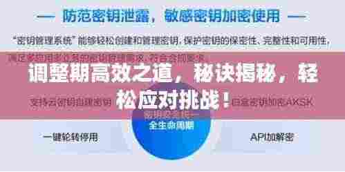 调整期高效之道，秘诀揭秘，轻松应对挑战！