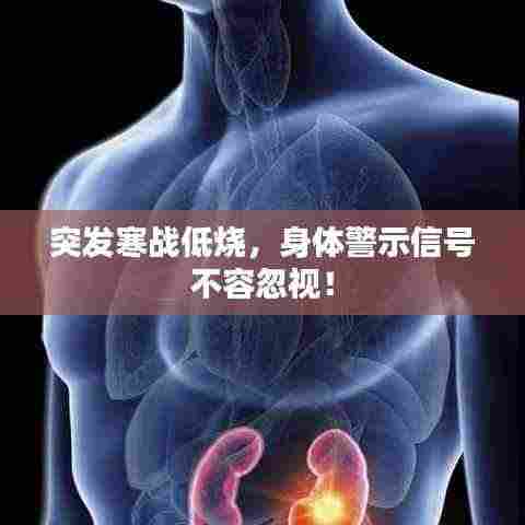 突发寒战低烧,身体警示信号不容忽视!