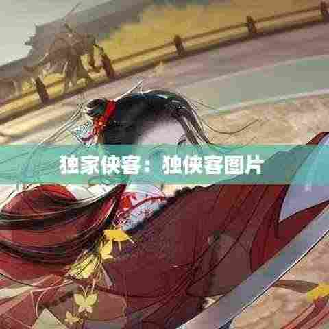 独家侠客：独侠客图片 