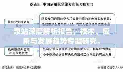 泵站深度解析报告,技术、应用与发展趋势专题研究。