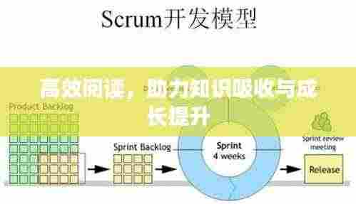 高效阅读,助力知识吸收与成长提升