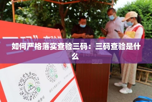 如何严格落实查验三码：三码查验是什么 