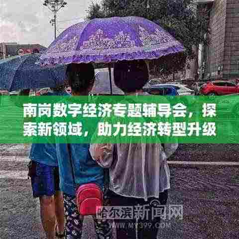 南岗数字经济专题辅导会,探索新领域,助力经济转型升级