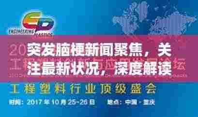 突发脑梗新闻聚焦,关注最新状况,深度解读脑梗新知