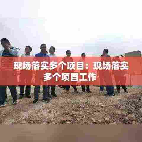 现场落实多个项目：现场落实多个项目工作 