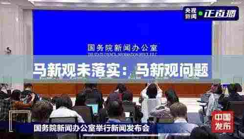 马新观未落实:马新观问题