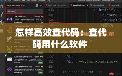 怎样高效查代码：查代码用什么软件 