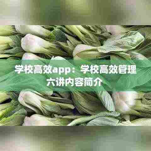 学校高效app:学校高效管理六讲内容简介